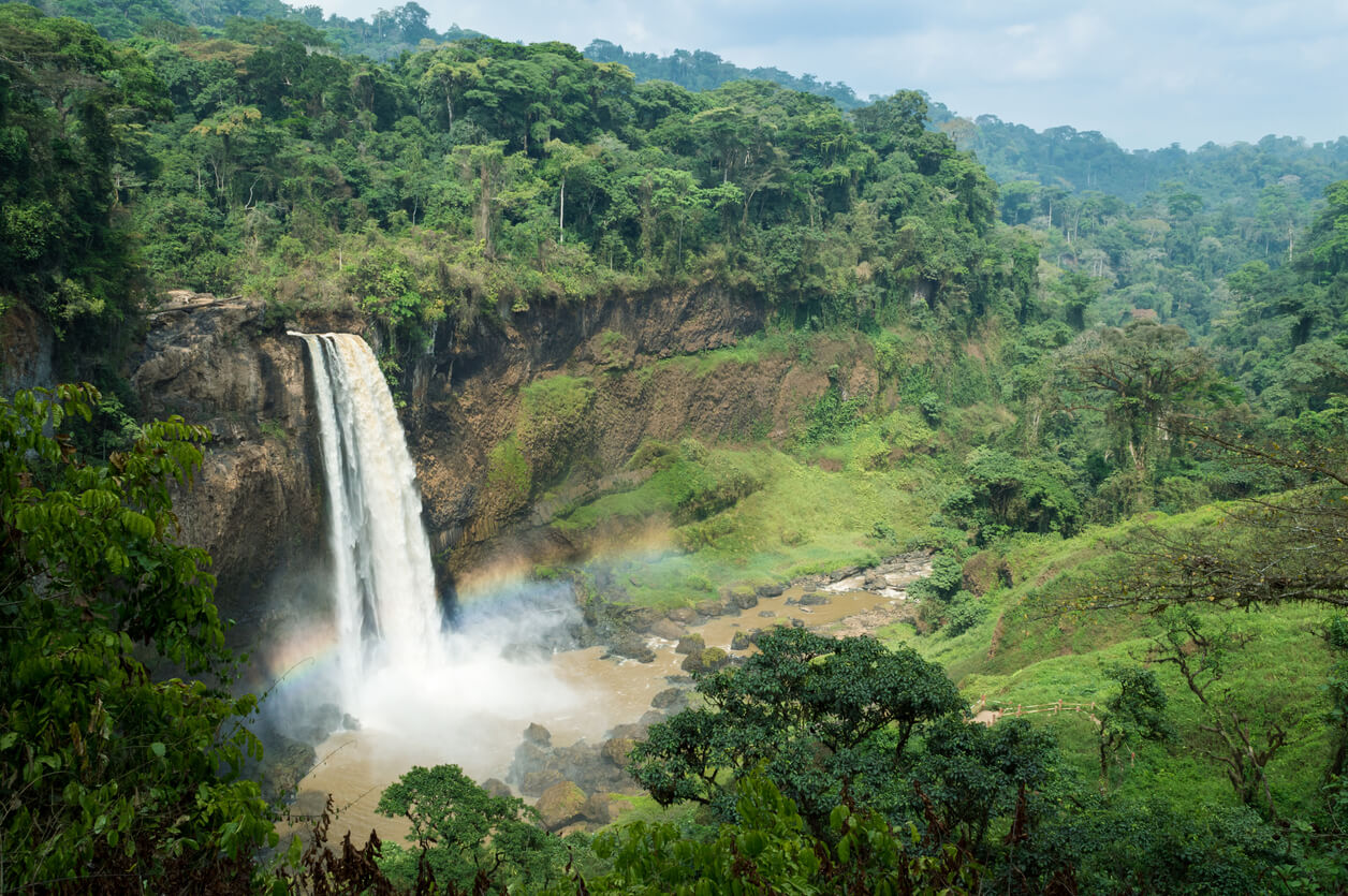 Kamerun: Chutes d'Ekom dans la forêt tropicale (Melong)