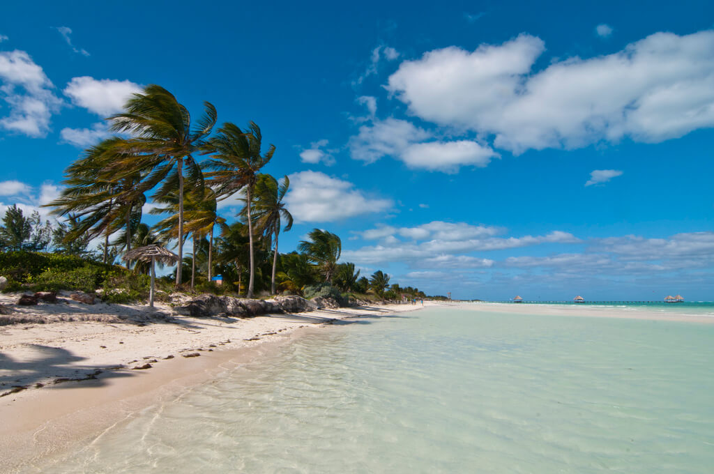 Cayo Guillermo : 
