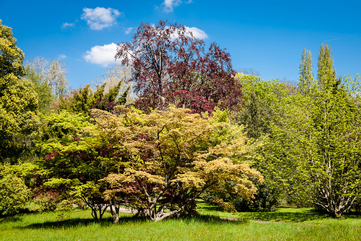 Chatenay-Malabry : Parc Vallee aux Loups