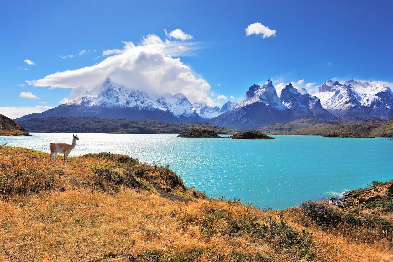 Chile: Lac Pehoe, parc national Torres del Paine dans le sud du Chili