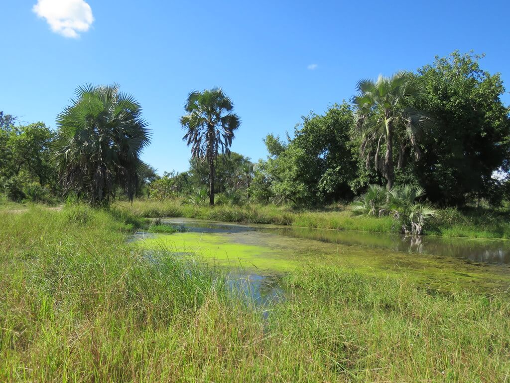 Národní park Gorongosa : 