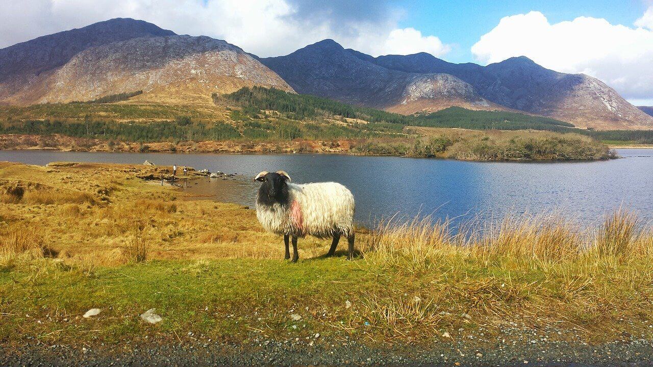 Irsko: Le parc national du Connemara