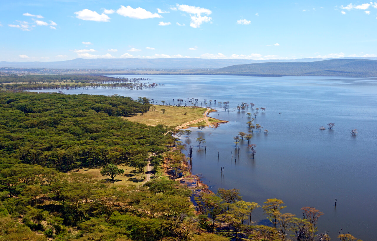 Keňa: Lac Nakuru au Kenya