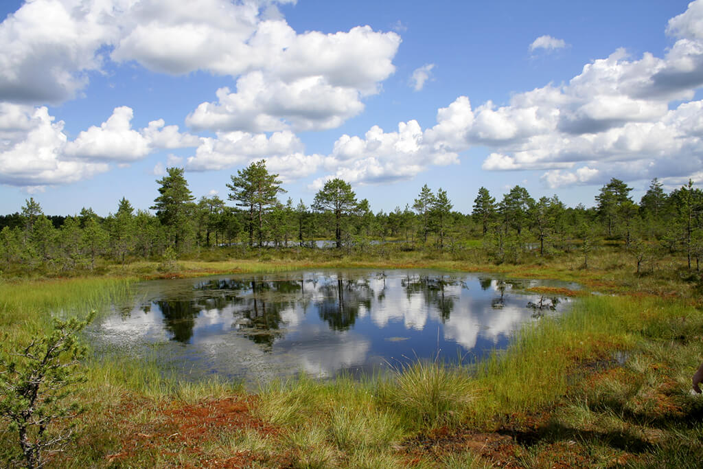 Národní park Lahemaa : 