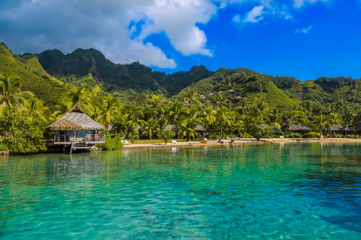 Moorea : Belvédère de Moorea