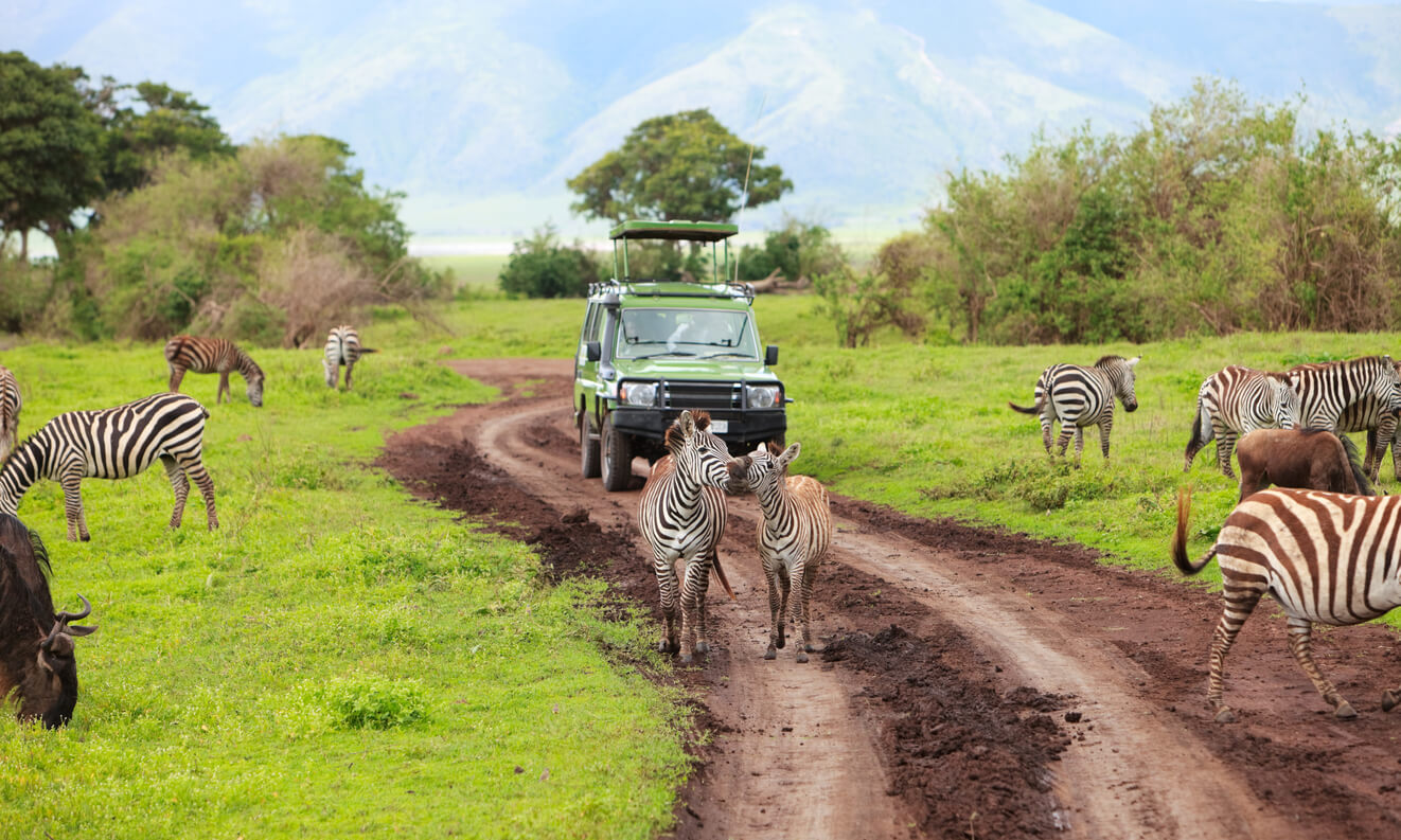 Kdy je nejlepší jet na safari?