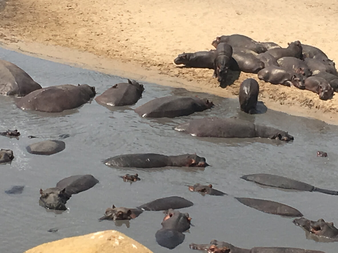 Národní park Katavi : Le parc national de Katavi Národní park Katavi : Le parc national de Katavi