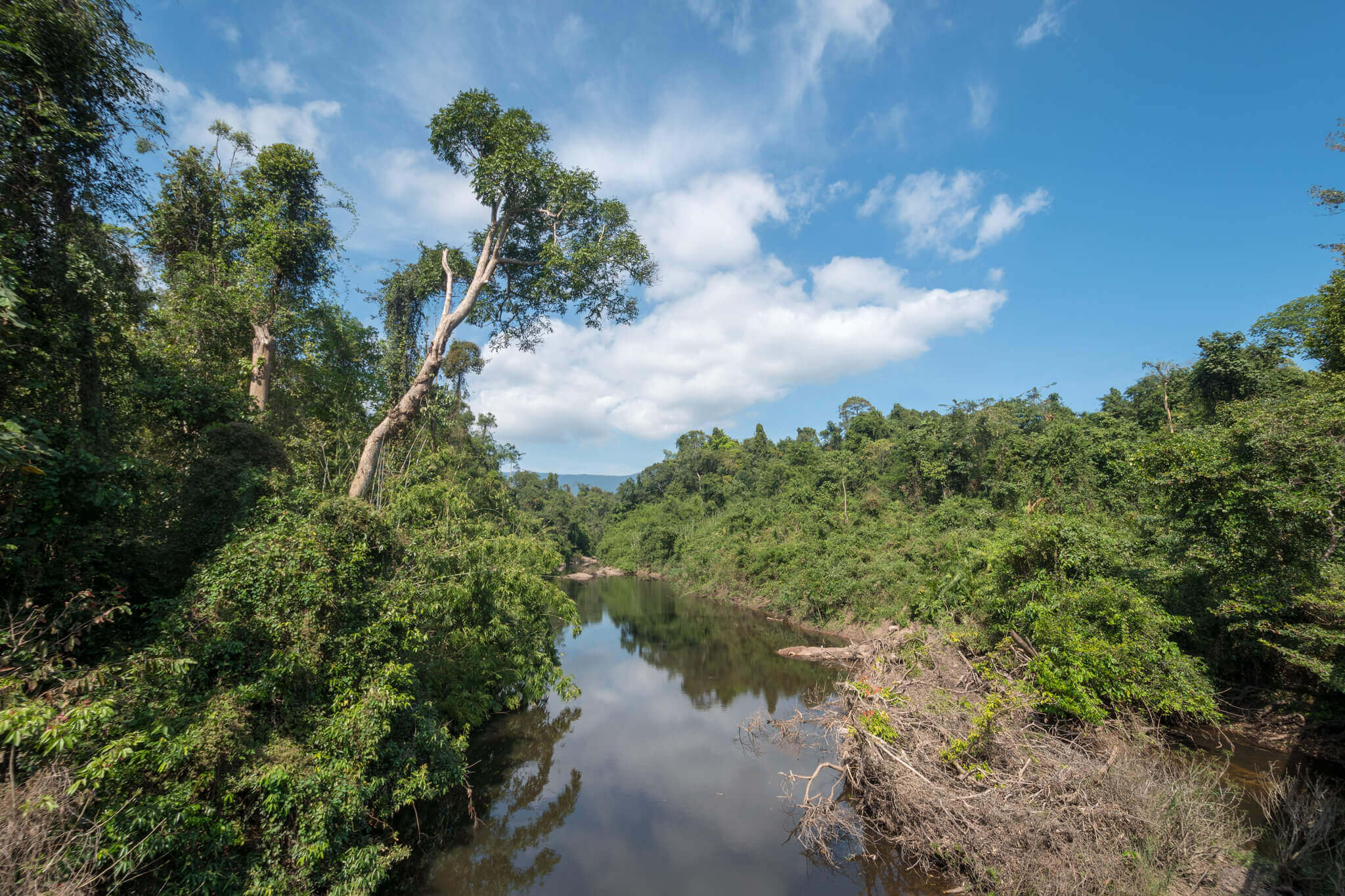 Národní park Khao Yai : Parc national Khao Yai (éléphants, animaux…)