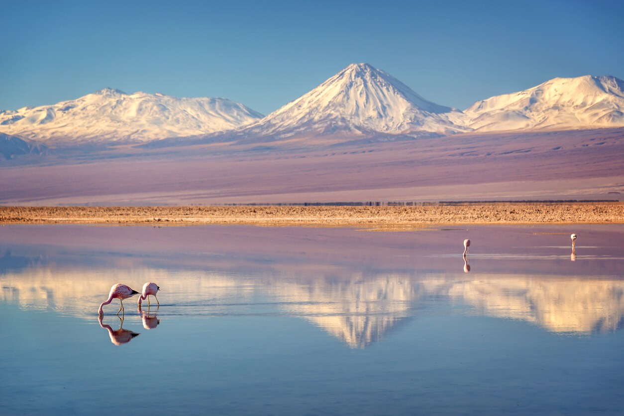 San Pedro de Atacama (poušť Atacama) : Salar de Atacama