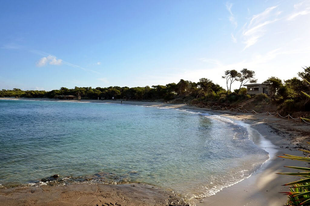 Sant Jordi de ses Salines : 