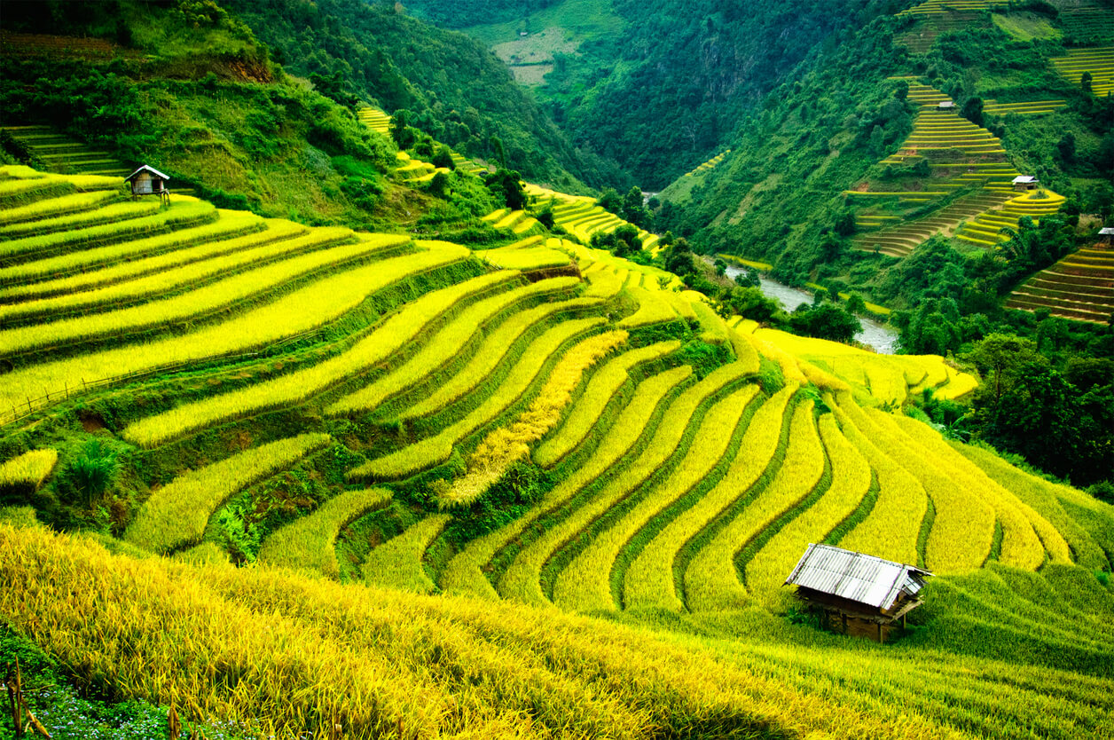 Sapa (severní Vietnam) : Mu Cang Chai, Sapa