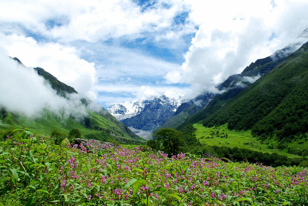 Národní park Valley of Flowers (Uttarákhand) : 